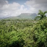 Cuba-El-Yunque-National-Park